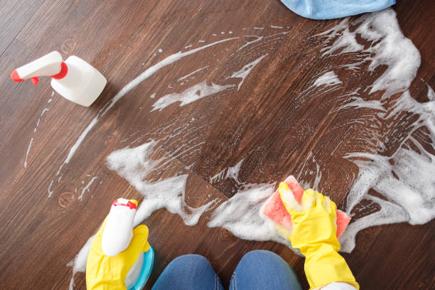 istock Housekeeping, House Cleaning 1136854238