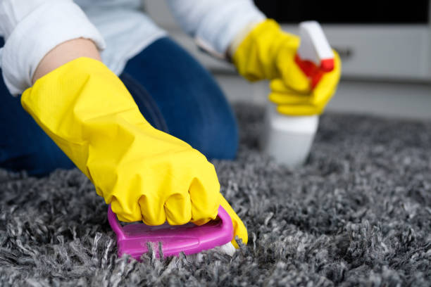istock Housekeeping, House Cleaning 1136855036
