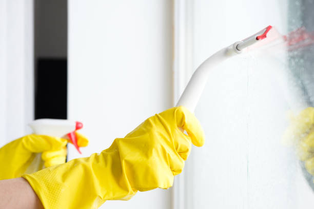 istock Housekeeping, House Cleaning 1136855094