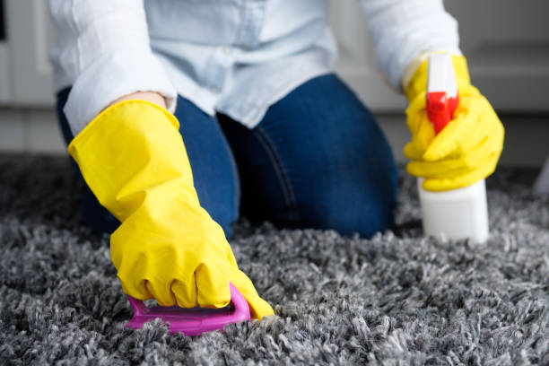 istock Housekeeping, House Cleaning 1136855126