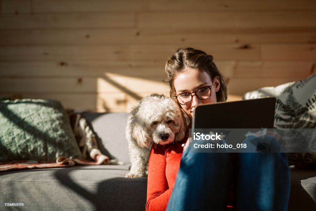 Artist Drawing At Home In Company Of Her Poodle Dog Female Artist Drawing At Home In Company Of Her Cute Poodle Dog Dog Stock Photo