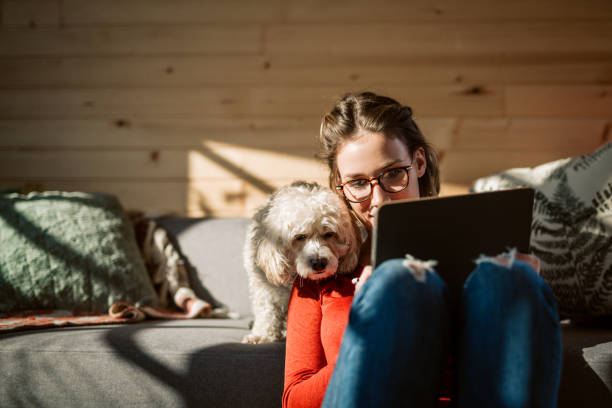 artist drawing at home in company of her poodle dog - telecommuting technology equipment one person imagens e fotografias de stock