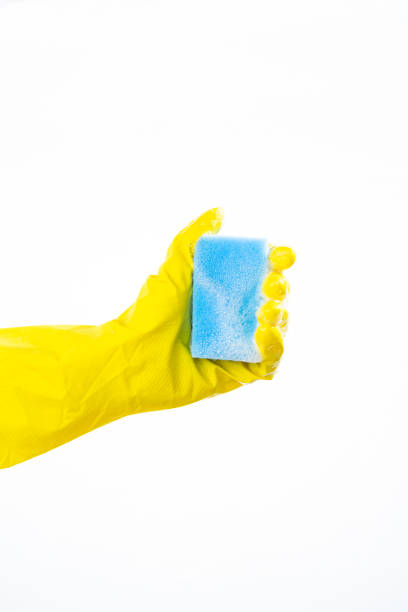 istock Housekeeping, House Cleaning 1136855189
