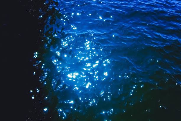 istock light of the star on the blue water 1136856635