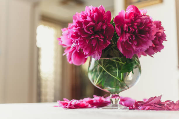 istock red peonies in glass vase stand on table 1136856849