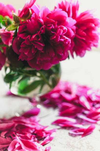 istock red peonies in glass vase stand on table 1136856868