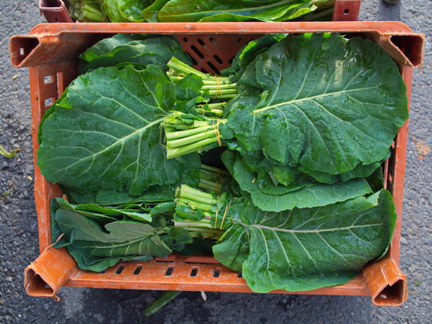 istock fresh leaf cabbage kale vegetable on the street market 1136859933