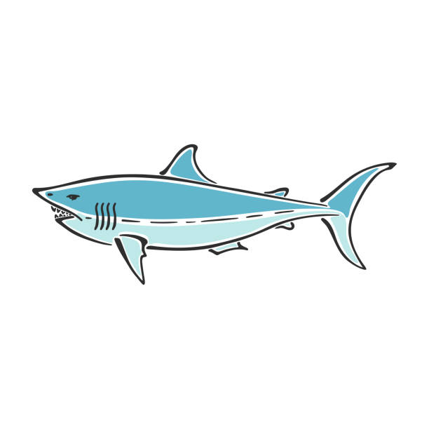 White Shark Character Abstract Ink Hand Drawn Vector Logo Cartoon Simplified Color Illustration Ocean Blue Sea Animal Curve Paint Sign Doodle Sketch Element For Design Wallpaper Fabric Print Stock Illustration - Download White Shark Character Abstract Ink Hand Drawn Vector Logo Cartoon Simplified Color Illustration Ocean Blue Sea Animal Curve Paint Sign Doodle Sketch Element For Design Wallpaper Fabric Print Stock Illustration - Download