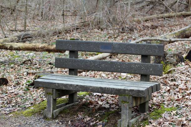 istock Old Wooden Park Bench 1136862770