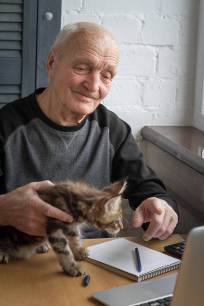 istock An elderly man shows a curious kitten on the screen of an open laptop, smiling, selective focus. 1136863896