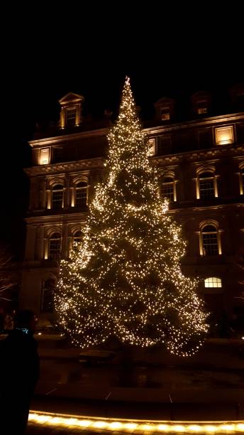istock Town Hall's Christmas tree from photo2 1136864447