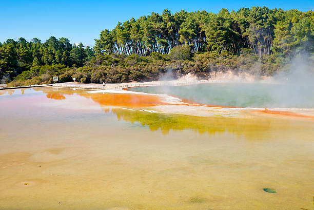 istock Artist Palette and Champagne Pool 113686736