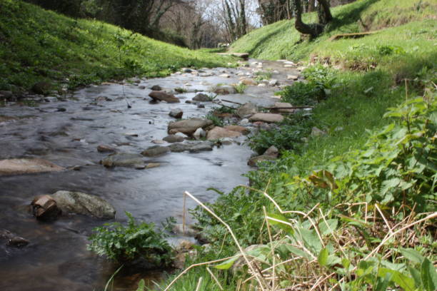 istock water path with silk effect. small river flowing from the waterfall in the middle of a wooded plain 1136868839