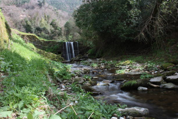 istock water path with silk effect. small river flowing from the waterfall in the middle of a wooded plain 1136868976