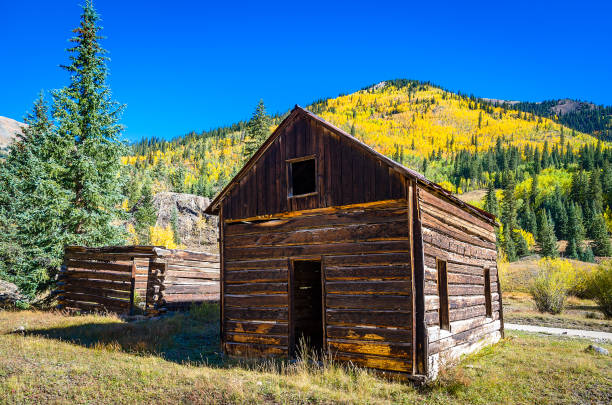 istock Aspen leaves changing in autumn in Colorado 1136869045