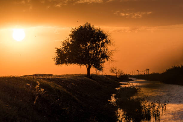 istock Sunset in the Chyornye Zemli (Black Lands) Nature Reserve 1136869103