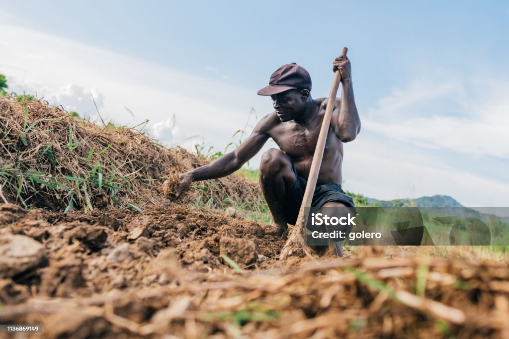 african farmer digging over the soil mid adult farmer digging over the soil for planting rice on field in Malawi Agriculture Stock Photo