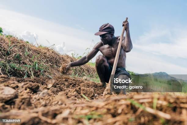 African Farmer Digging Over The Soil Stock Photo - Download Image Now - Agriculture, Africa, African Ethnicity