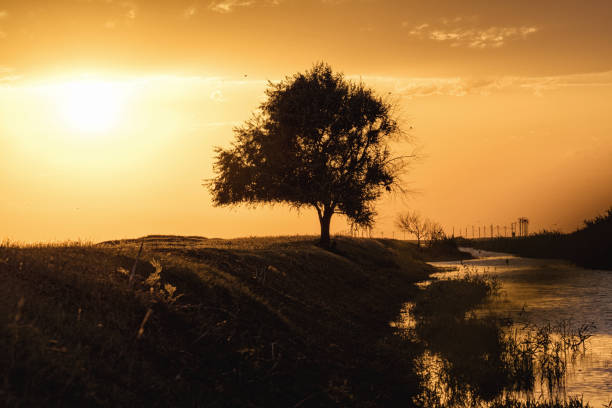 istock Sunset in the Chyornye Zemli (Black Lands) Nature Reserve 1136869185