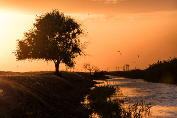 istock Sunset in the Chyornye Zemli (Black Lands) Nature Reserve 1136869332