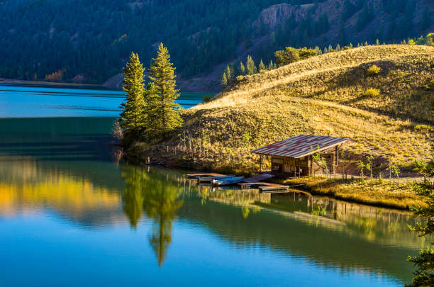 istock Aspen leaves changing in autumn in Colorado 1136870334