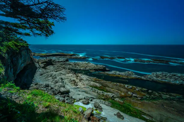 Shore Acres State Park, Oregon Coast