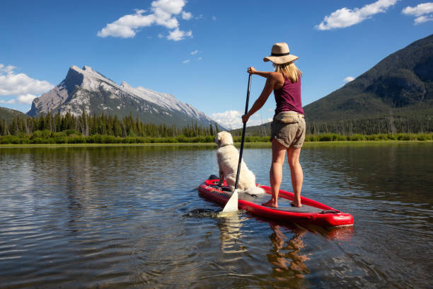 Paddle Boarding in Banff Banff, Alberta, Canada - June 19, 2018:  Adventurous woman on a paddle board with her dog is enjoying the beautiful sunny summer day on the lake. paddleboard surfing oar water sport stock pictures, royalty-free photos & images