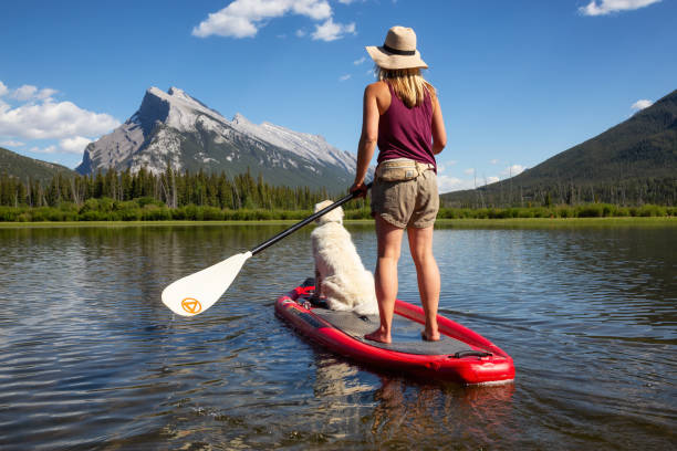 paddelboarding in banff - editorial women paddleboard surfboard stock-fotos und bilder