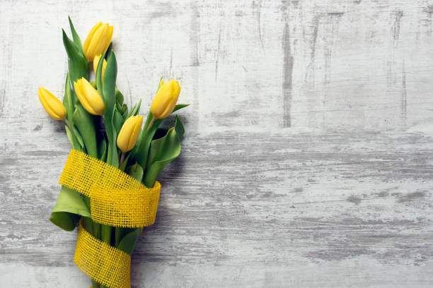 Spring flowers, yellow tulips with ribbon background. Top view with copy space.