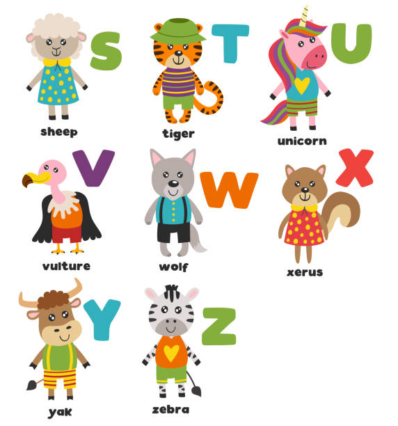 alphabet with cute animals S to Z alphabet with cute animals S to Z - vector illustration, eps african ground squirrel stock illustrations