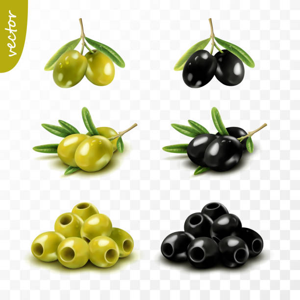 Isolated 3D green and black olives with leaves, seedless, realistic vector set Isolated 3D green and black olives with leaves, seedless, realistic vector set green olive fruit stock illustrations