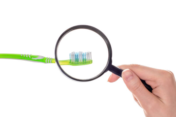 reading glass zoom germs dirty mold damp wet oral body bodycare pampering lens concept. close up photo of person's hand holding magnifier demonstrating microbes toothbrush isolated on white background - magnifying glass lens holding europe imagens e fotografias de stock