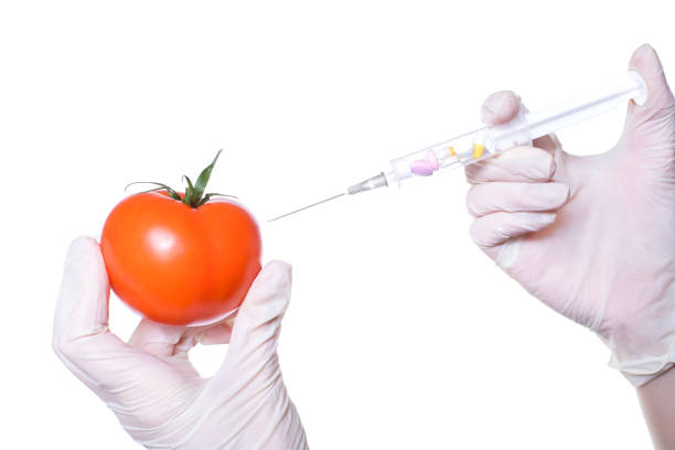 nahaufnahme schnitt blick foto von idealen leckeren glänzend perfekt frisch mit makelloser haut wachs-tomate in einer hand und spritze mit farbigen pillen im inneren isoliert auf weißem hintergrund - food crop sprayer insecticide dna stock-fotos und bilder