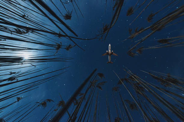 istock Reeds to the Wings 1136877130