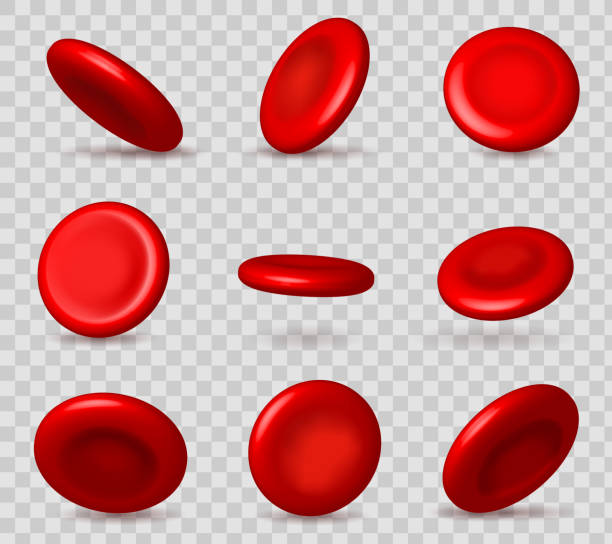ilustrasi vektor kreatif aliran sel darah merah, eritrosit medis mikrobiologis terisolasi pada latar belakang transparan putih. obat desain seni. elemen ilmu grafis konsep abstrak - hb foto ilustrasi stok