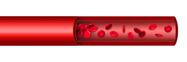 kreatywna ilustracja wektorowa przepływu krwinek czerwonych tętnic, mikrobiologicznego naczynia medycznego erytrocytów wyizolowanego na tle. medycyna projektowania sztuki. abstrakcyjny element graficzny koncepcji - bloodstream stock illustrations