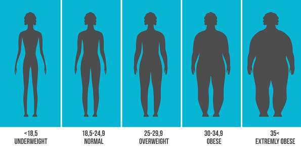 Creative Vector Illustration Of Bmi Body Mass Index Infographic Chart ...