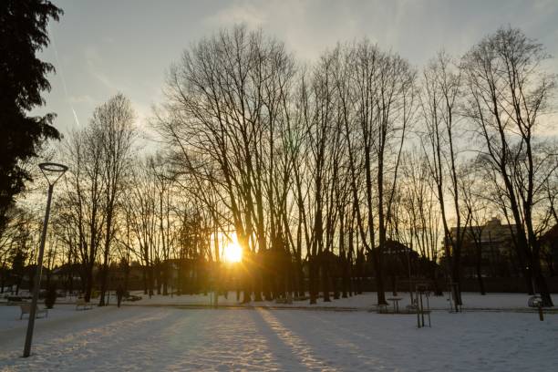 istock Park under the snow during winter. 1136885082