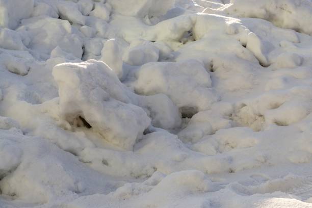 istock Nature covered by snow during winter. 1136887537