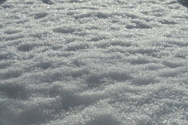 istock Nature covered by snow during winter. 1136887543