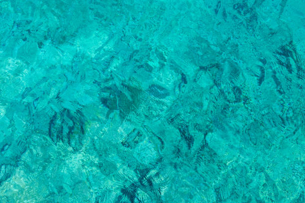 istock Background of Red sea water surface 1136887835