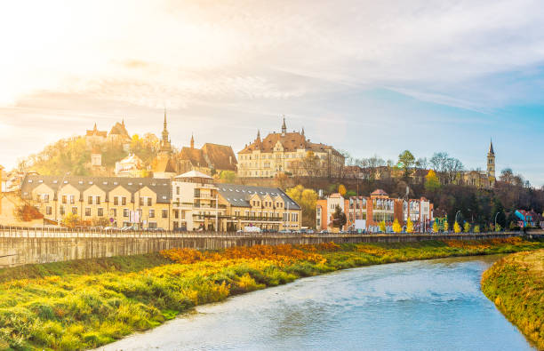 istock Landscape with Sighisoara town 1136888915