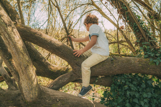 istock Brothers playing outdoors 1136890029