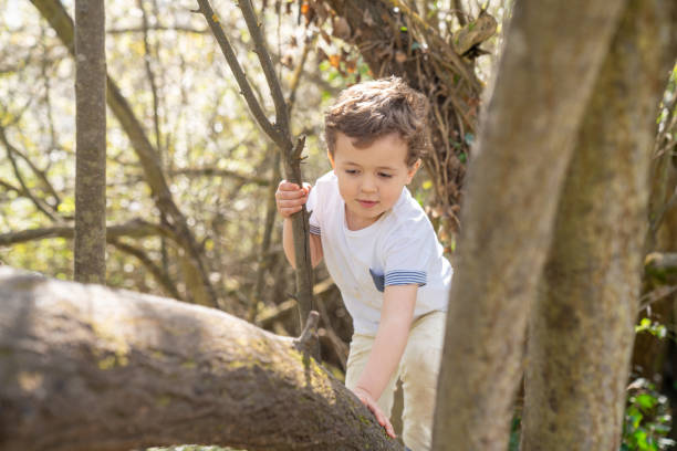 istock Brothers playing outdoors 1136890084