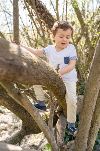 istock Brothers playing outdoors 1136890180