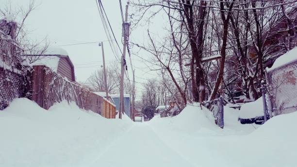 istock Snowy alley after the storm (photo4) 1136890357
