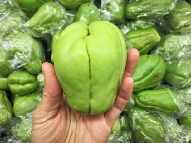 chayote squash - świeże z rynku rolnika - warzyw - sechium edule zdjęcia i obrazy z banku zdjęć