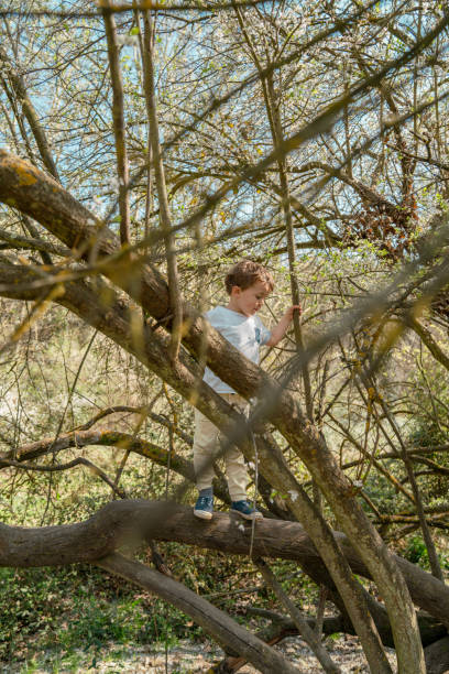 istock Brothers playing outdoors 1136890618