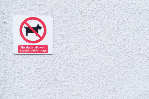 istock Guide dogs only sign for the blind 1136896437