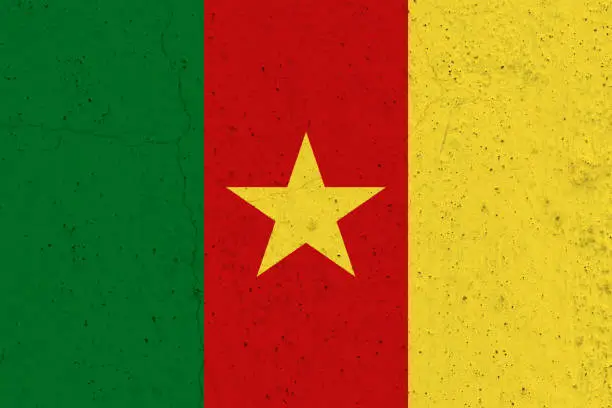 Photo of Cameroon flag on concrete wall